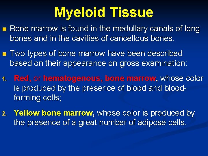 Myeloid Tissue n Bone marrow is found in the medullary canals of long bones