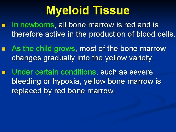 Myeloid Tissue n In newborns, all bone marrow is red and is therefore active