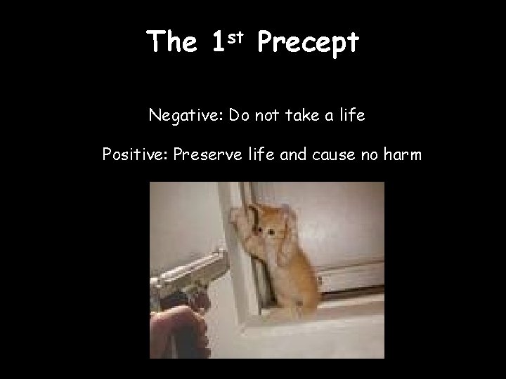 The 1 st Precept Negative: Do not take a life Positive: Preserve life and