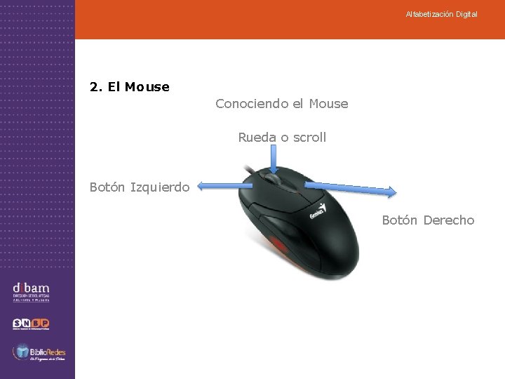 Alfabetización Digital 2. El Mouse Conociendo el Mouse Rueda o scroll Botón Izquierdo Botón