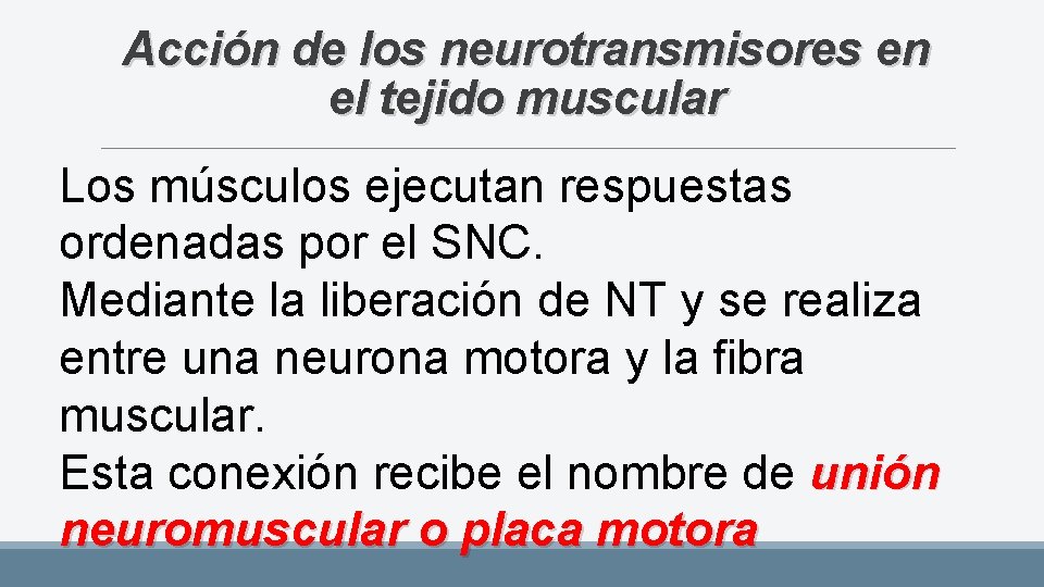 Acción de los neurotransmisores en el tejido muscular Los músculos ejecutan respuestas ordenadas por