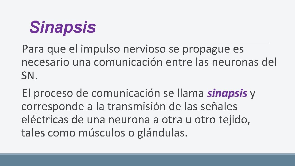 Sinapsis Para que el impulso nervioso se propague es necesario una comunicación entre las