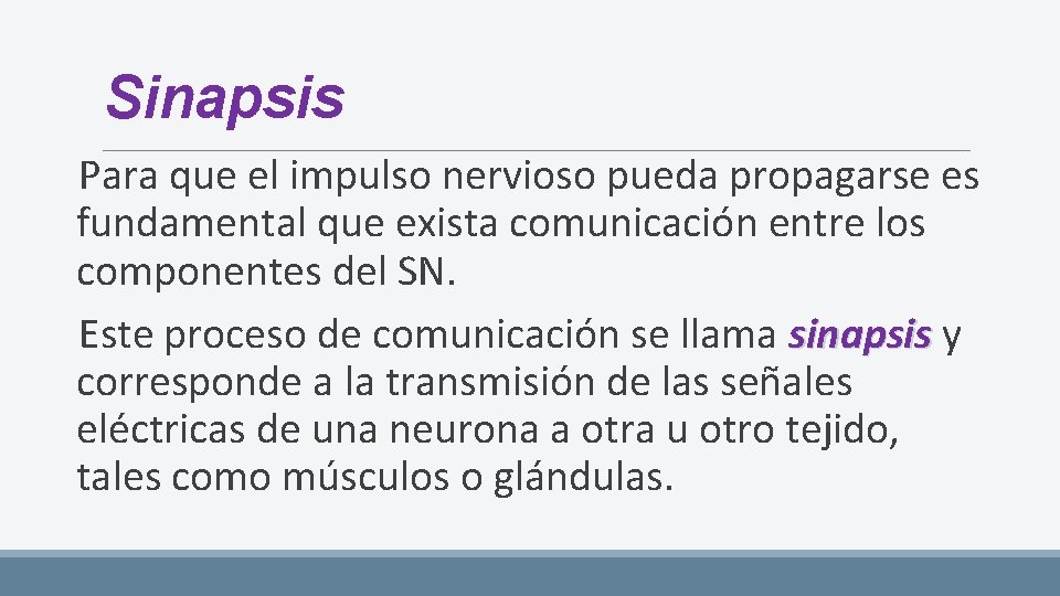 Sinapsis Para que el impulso nervioso pueda propagarse es fundamental que exista comunicación entre