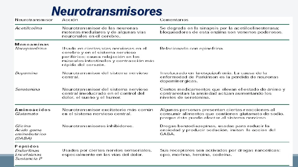 Neurotransmisores 