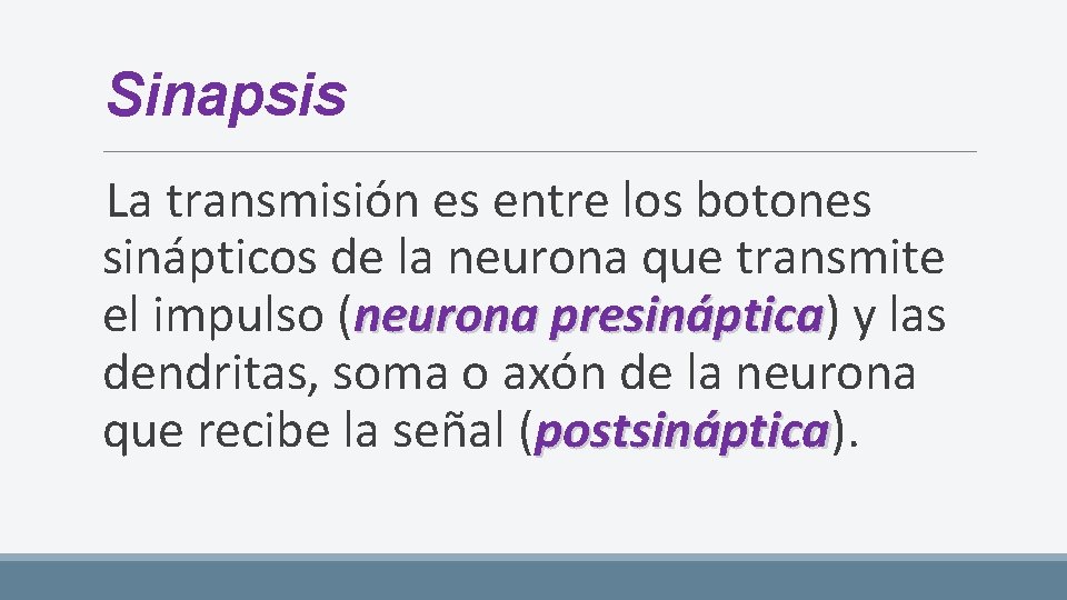 Sinapsis La transmisión es entre los botones sinápticos de la neurona que transmite el