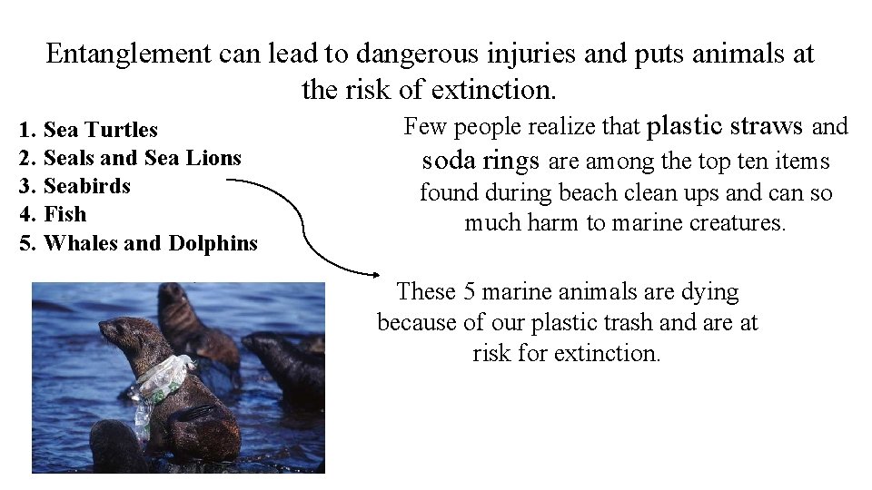 Entanglement can lead to dangerous injuries and puts animals at the risk of extinction.