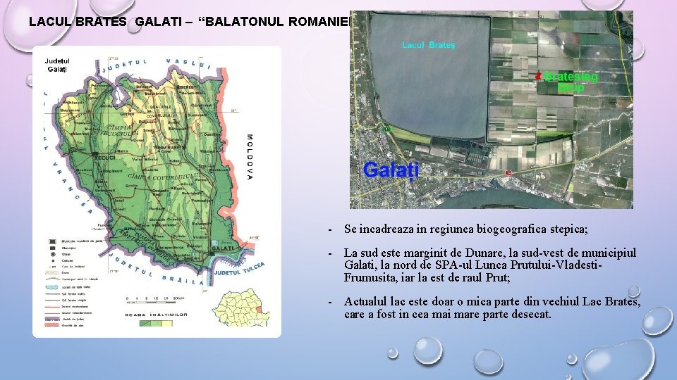 LACUL BRATES GALATI – “BALATONUL ROMANIEI” - Se incadreaza in regiunea biogeografica stepica; -