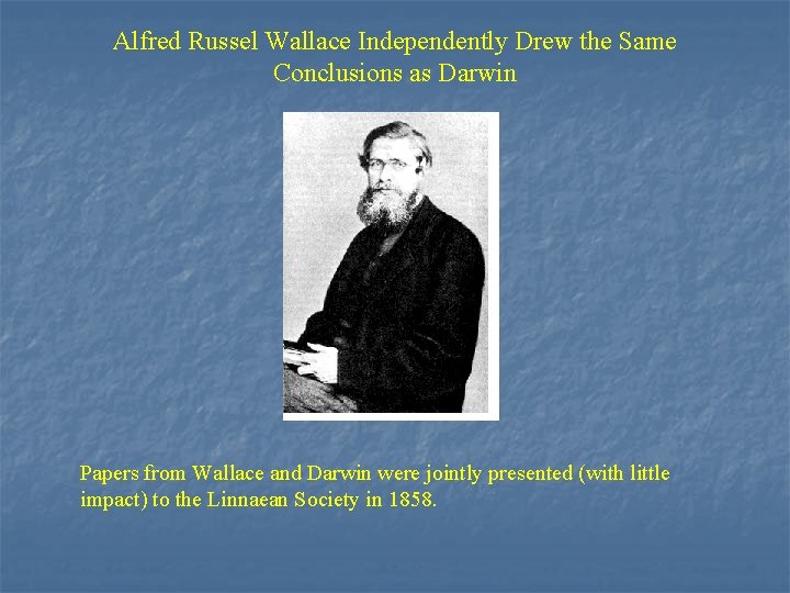 Alfred Russel Wallace Independently Drew the Same Conclusions as Darwin Papers from Wallace and