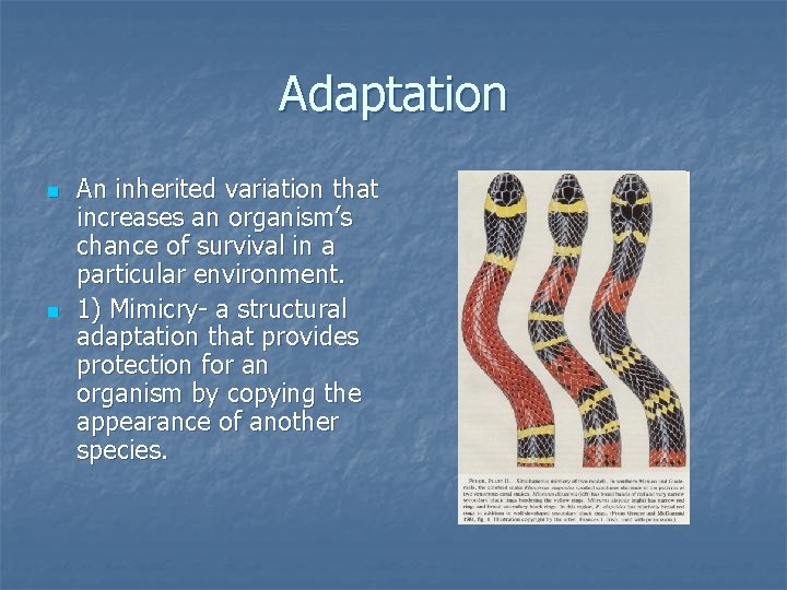 Adaptation n n An inherited variation that increases an organism’s chance of survival in