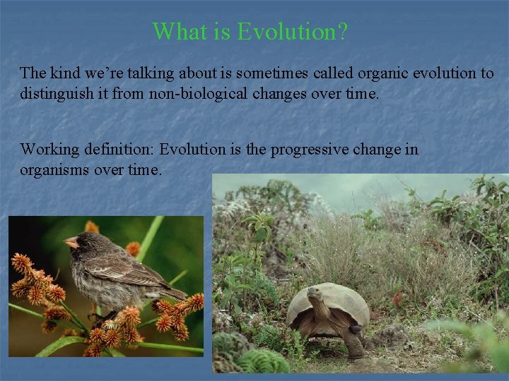 What is Evolution? The kind we’re talking about is sometimes called organic evolution to