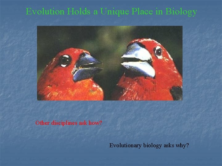 Evolution Holds a Unique Place in Biology Other disciplines ask how? Evolutionary biology asks