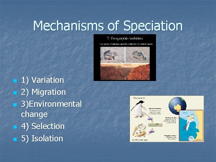 Mechanisms of Speciation n n 1) Variation 2) Migration 3)Environmental change 4) Selection 5)