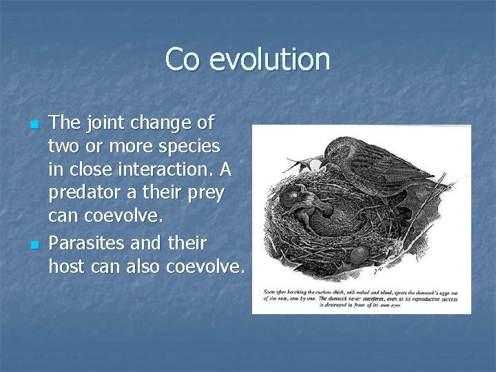 Co evolution n n The joint change of two or more species in close