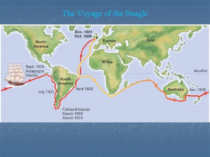 The Voyage of the Beagle 