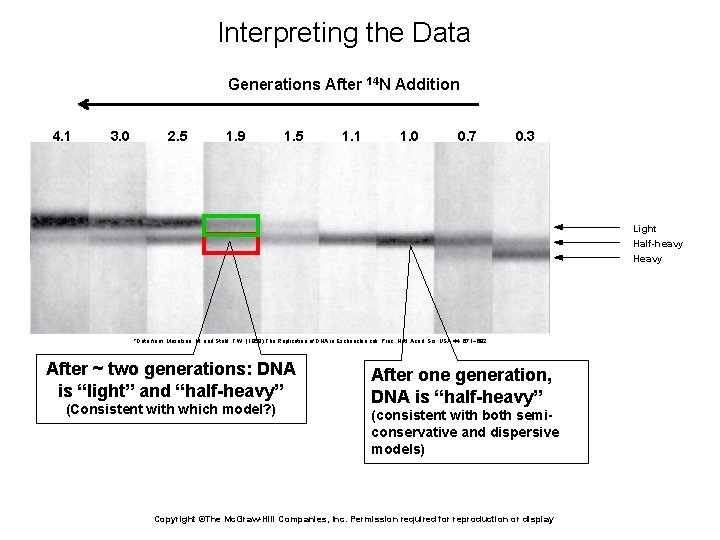 Interpreting the Data Generations After 14 N Addition 4. 1 3. 0 2. 5