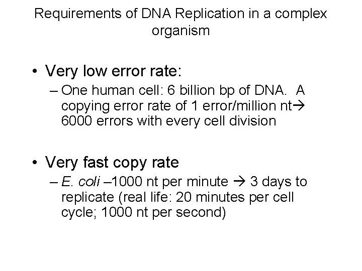 Requirements of DNA Replication in a complex organism • Very low error rate: –