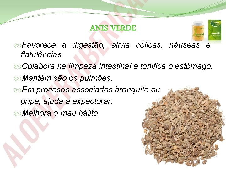  Favorece a digestão, alivia cólicas, náuseas e flatulências. Colabora na limpeza intestinal e