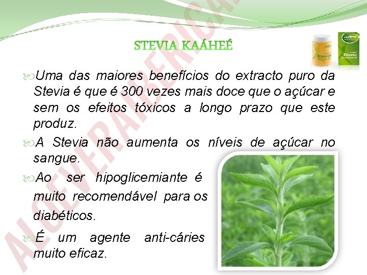  Uma das maiores benefícios do extracto puro da Stevia é que é 300