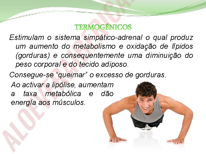 Estimulam o sistema simpático-adrenal o qual produz um aumento do metabolismo e oxidação de