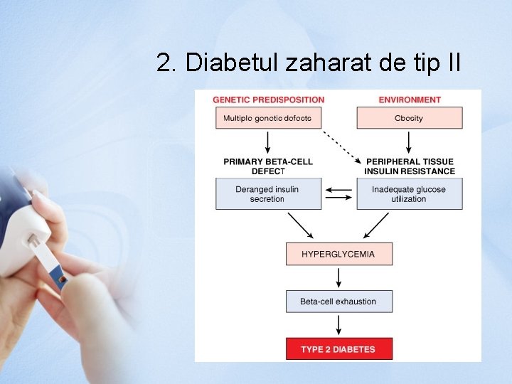 2. Diabetul zaharat de tip II 