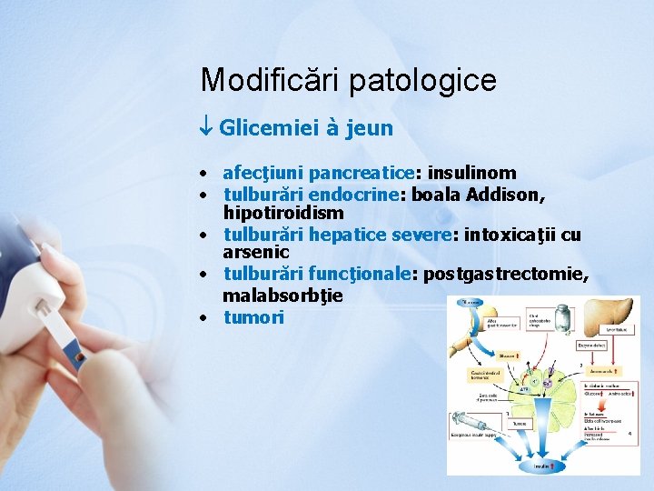 Modificări patologice Glicemiei à jeun • afecţiuni pancreatice: insulinom • tulburări endocrine: boala Addison,