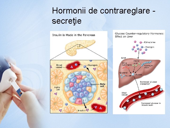 Hormonii de contrareglare secreţie 