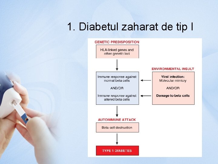 1. Diabetul zaharat de tip I 