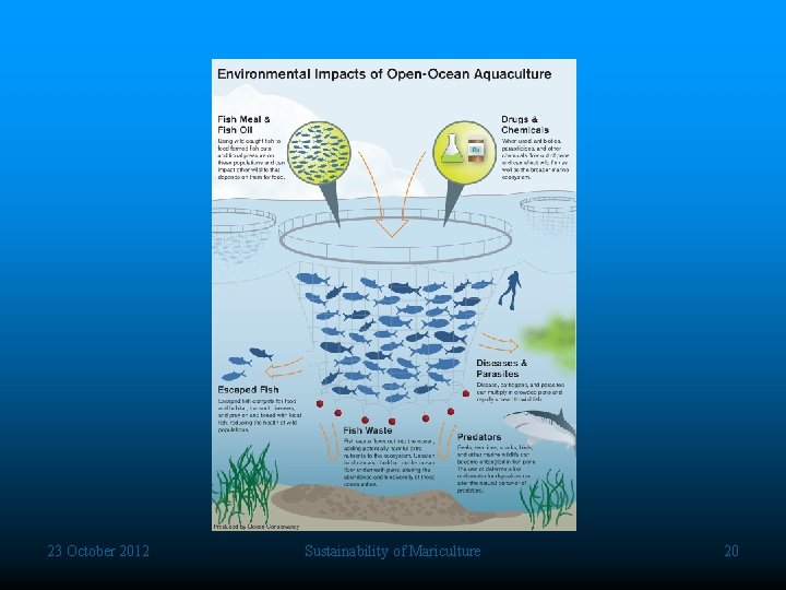 23 October 2012 Sustainability of Mariculture 20 