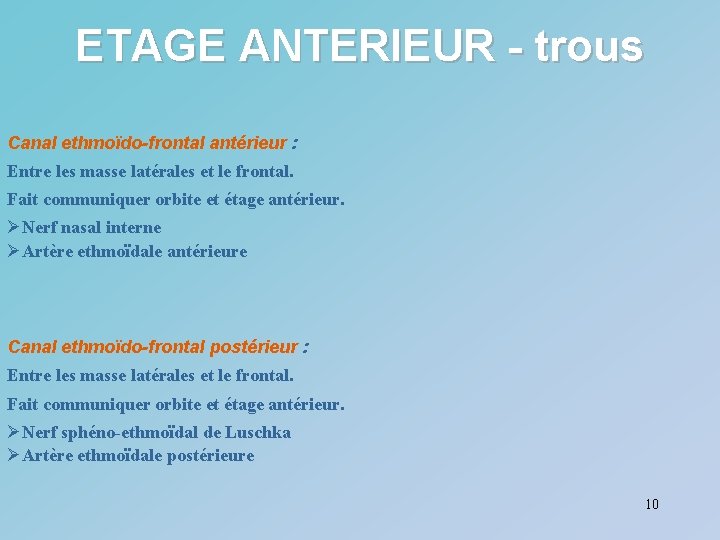 ETAGE ANTERIEUR - trous Canal ethmoïdo-frontal antérieur : Entre les masse latérales et le