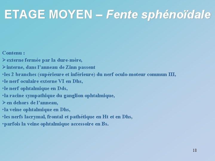 ETAGE MOYEN – Fente sphénoïdale Contenu : Øexterne fermée par la dure-mère, Øinterne, dans