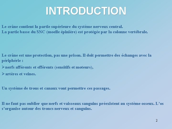 INTRODUCTION Le crâne contient la partie supérieure du système nerveux central. La partie basse