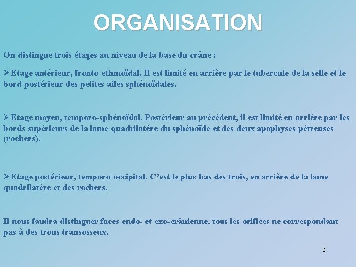 ORGANISATION On distingue trois étages au niveau de la base du crâne : ØEtage