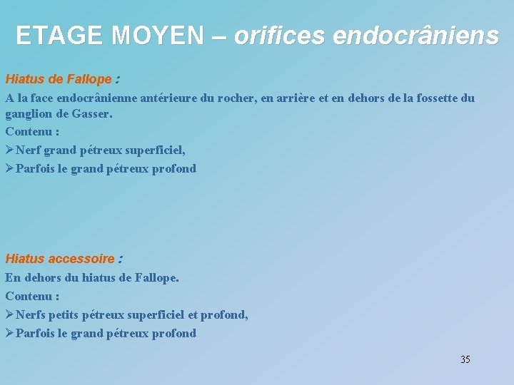 ETAGE MOYEN – orifices endocrâniens Hiatus de Fallope : A la face endocrânienne antérieure