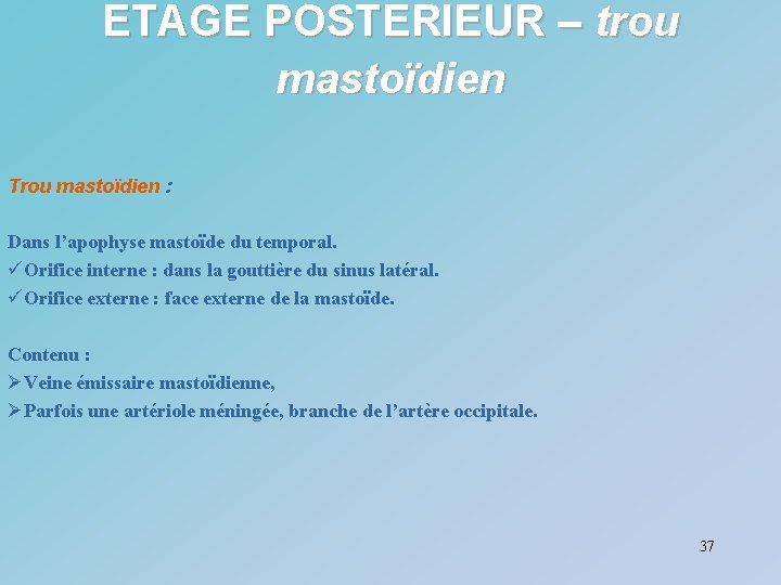 ETAGE POSTERIEUR – trou mastoïdien Trou mastoïdien : Dans l’apophyse mastoïde du temporal. üOrifice