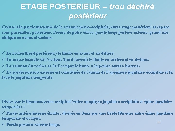 ETAGE POSTERIEUR – trou déchiré postérieur Creusé à la partie moyenne de la scissure