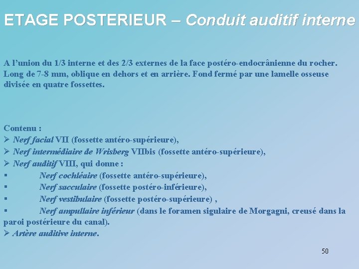 ETAGE POSTERIEUR – Conduit auditif interne A l’union du 1/3 interne et des 2/3