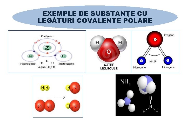 EXEMPLE DE SUBSTANŢE CU LEGĂTURI COVALENTE POLARE 