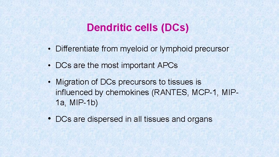 Dendritic cells (DCs) • Differentiate from myeloid or lymphoid precursor • DCs are the