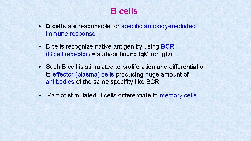 B cells • B cells are responsible for specific antibody-mediated immune response • B