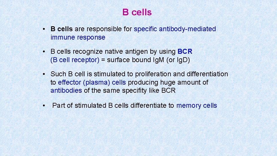 B cells • B cells are responsible for specific antibody-mediated immune response • B B cells • B cells are responsible for specific antibody-mediated immune response • B