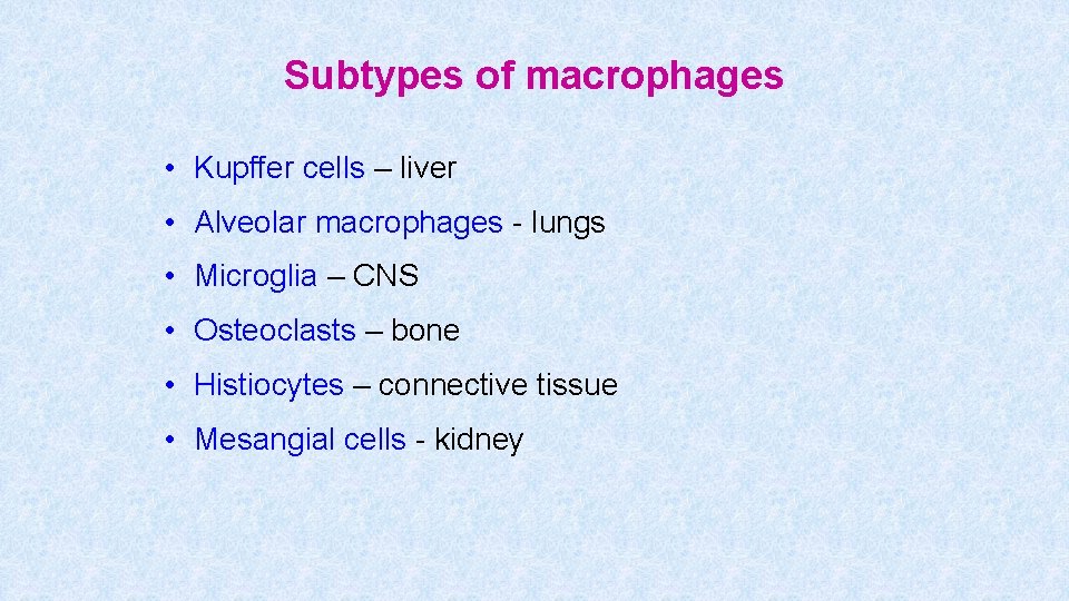 Subtypes of macrophages • Kupffer cells – liver • Alveolar macrophages - lungs •