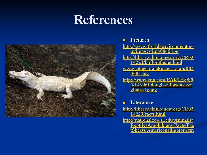 References n Pictures http: //www. floridaenvironment. co m/images/img 0046. jpg http: //library. thinkquest. org/CR