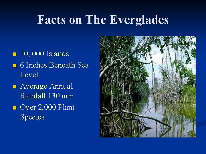 Facts on The Everglades n n 10, 000 Islands 6 Inches Beneath Sea Level