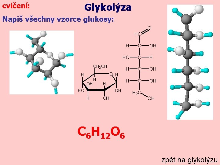 Glykolýza cvičení: Napiš všechny vzorce glukosy: O HC H C OH HO C H