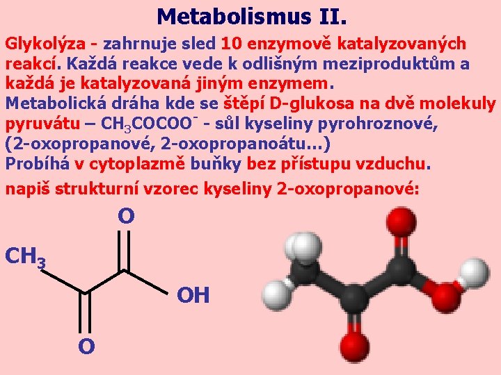 Metabolismus II. Glykolýza - zahrnuje sled 10 enzymově katalyzovaných reakcí. Každá reakce vede k