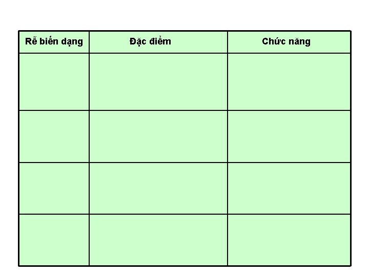 a. Các biến dạng của rễ Rễ biến dạng Đặc điểm Chức năng a. Các biến dạng của rễ Rễ biến dạng Đặc điểm Chức năng