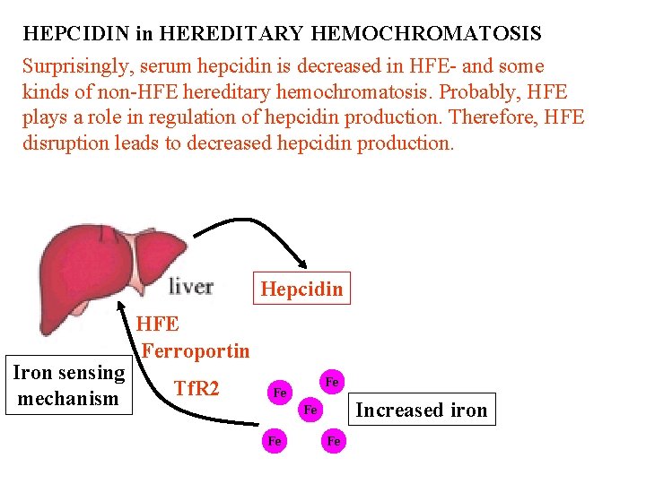 HEPCIDIN in HEREDITARY HEMOCHROMATOSIS Surprisingly, serum hepcidin is decreased in HFE- and some kinds