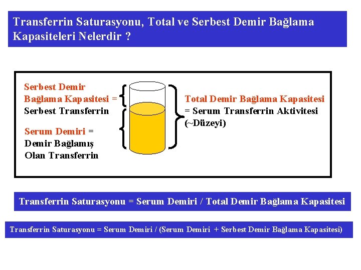 Transferrin Saturasyonu, Total ve Serbest Demir Bağlama Kapasiteleri Nelerdir ? Serbest Demir Bağlama Kapasitesi