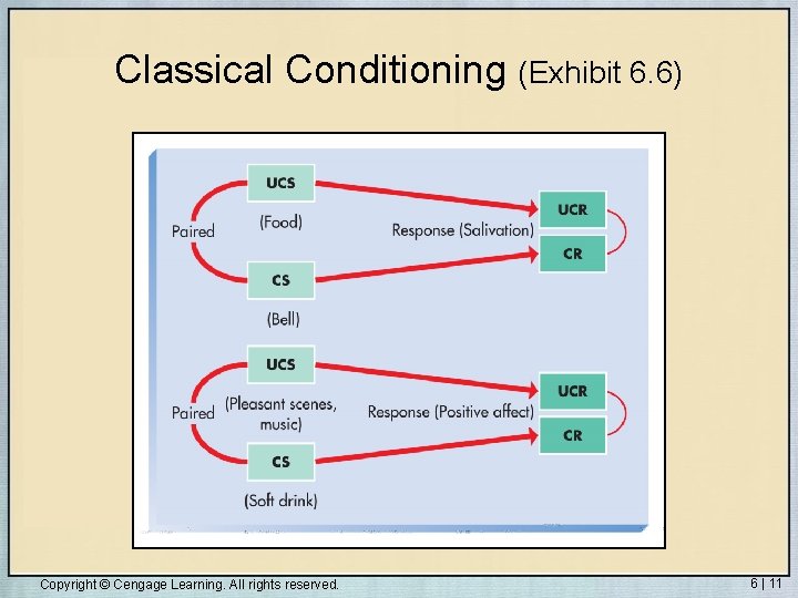 Classical Conditioning (Exhibit 6. 6) Copyright © Cengage Learning. All rights reserved. 6 |