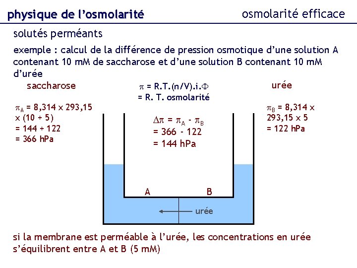 osmolarité efficace physique de l’osmolarité solutés perméants exemple : calcul de la différence de
